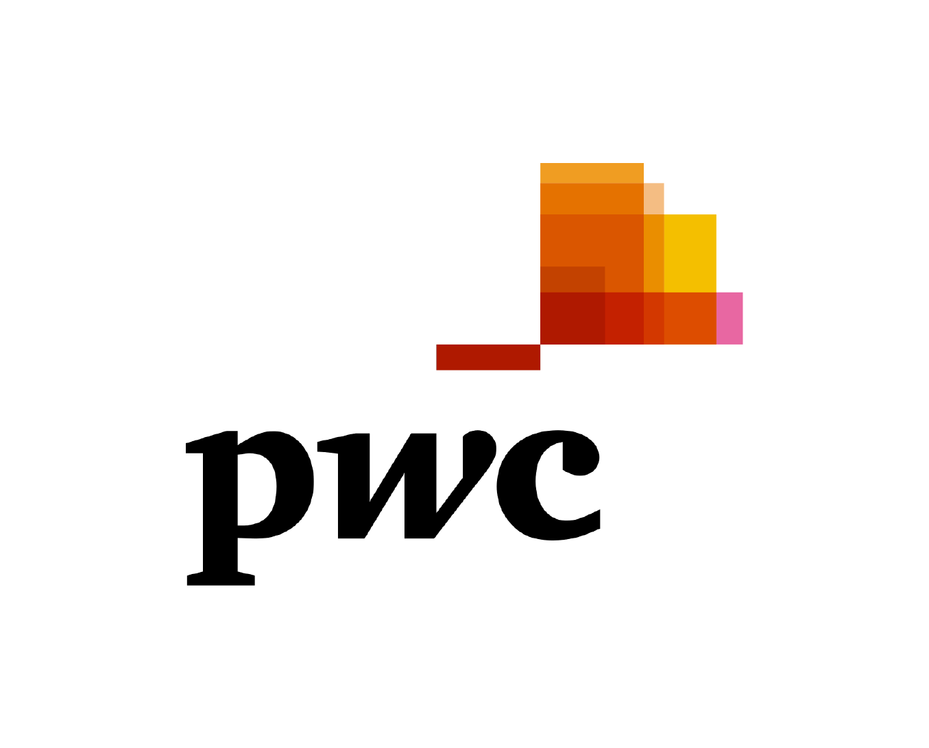 PricewaterhouseCoopers Logo