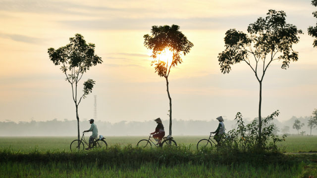 three people riding the bike through a rice field during sunset in Vietnam